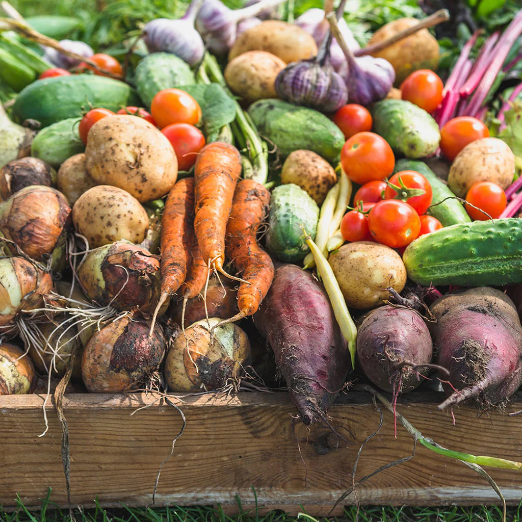 Growing your own food